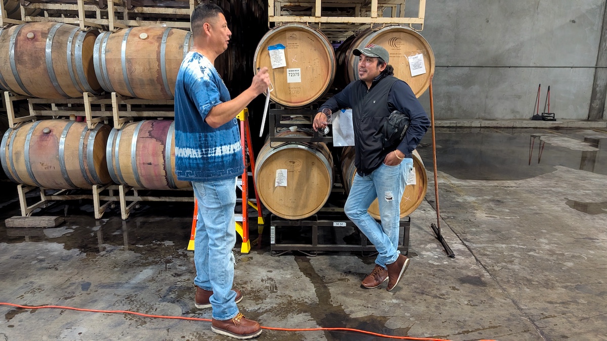 Reca Wines