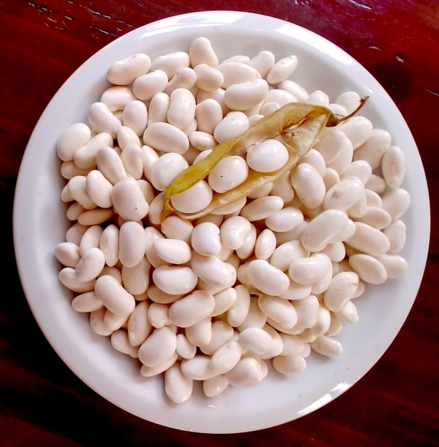 Joe Content's Got Recipes Italian Butter Beans From Iacopi Farms